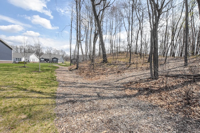 4336 Silica Dr, Lake Orion, MI 48359 - view of road featuring gravel driveway