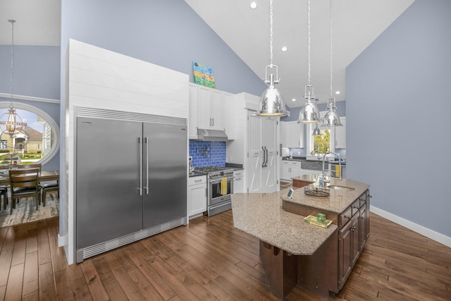 21373 Sail Bay Dr, Cassopolis, MI 49031 - kitchen with high quality appliances, high vaulted ceiling, decorative backsplash, white cabinets, and under cabinet range hood