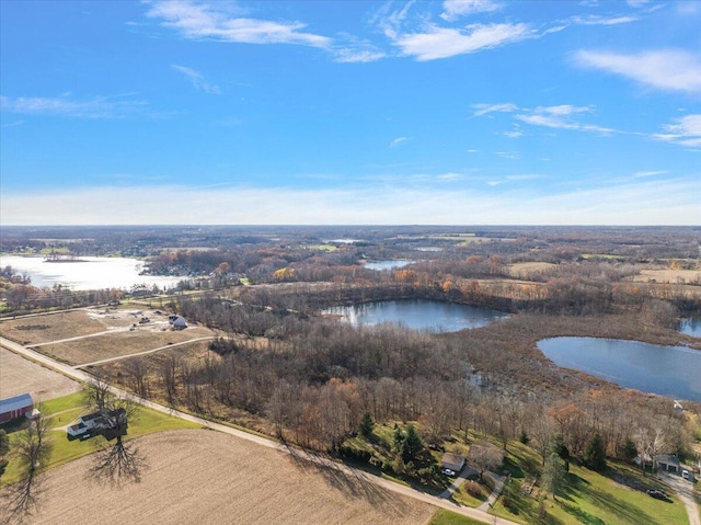 8275 Mcarthur Ave NE, Belding, MI 48809 - drone / aerial view of a nearby body of water