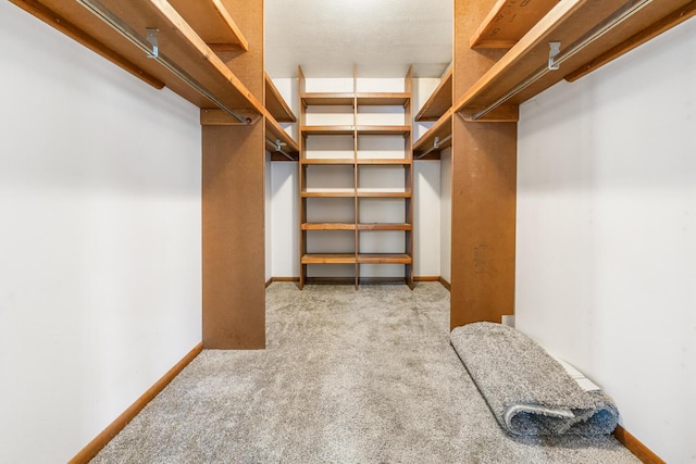 spacious closet with carpet floors