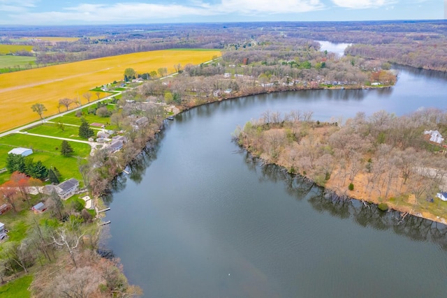 drone / aerial view with a view of trees and a water view