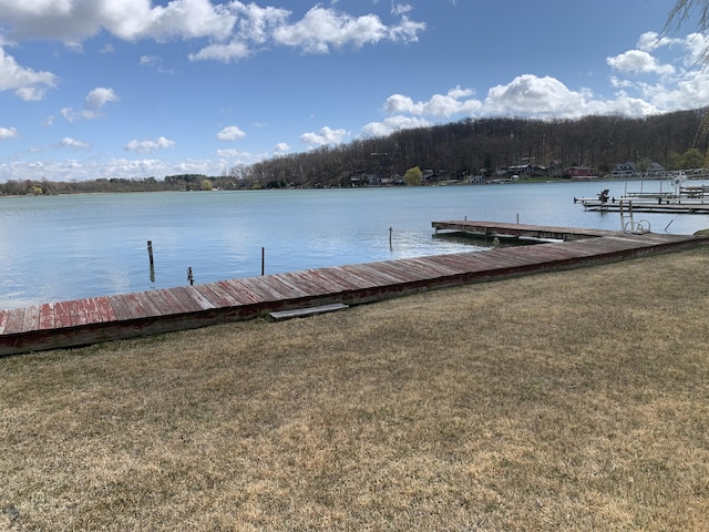 1026 Lakeview Dr, Brooklyn, MI 49230 - dock area featuring a view of trees, a yard, and a water view