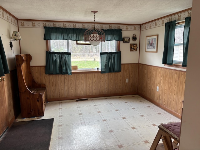 1026 Lakeview Dr, Brooklyn, MI 49230 - unfurnished dining area featuring plenty of natural light, a wainscoted wall, and a textured ceiling