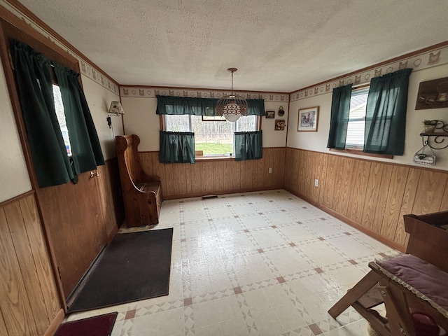 1026 Lakeview Dr, Brooklyn, MI 49230 - unfurnished dining area featuring wooden walls, a textured ceiling, and wainscoting