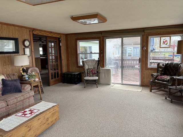1026 Lakeview Dr, Brooklyn, MI 49230 - carpeted living area with wood walls