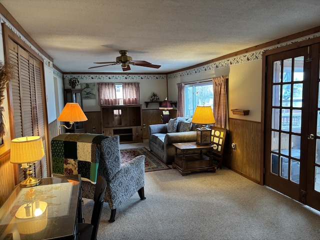 1026 Lakeview Dr, Brooklyn, MI 49230 - carpeted living area with a wainscoted wall, wood walls, a textured ceiling, and a healthy amount of sunlight