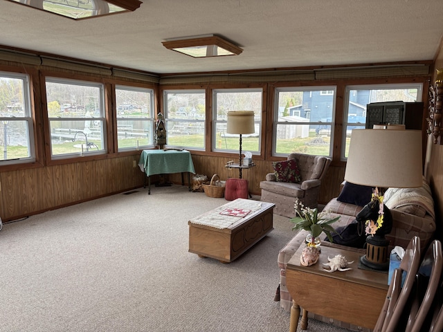 1026 Lakeview Dr, Brooklyn, MI 49230 - sunroom with wood walls, plenty of natural light, and carpet flooring