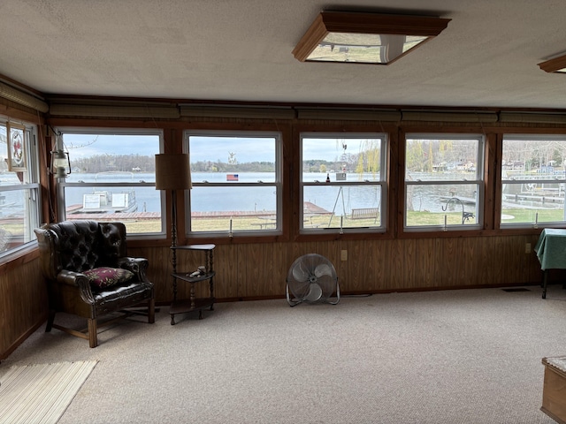 1026 Lakeview Dr, Brooklyn, MI 49230 - sunroom with carpet floors, a healthy amount of sunlight, wooden walls, and a water view
