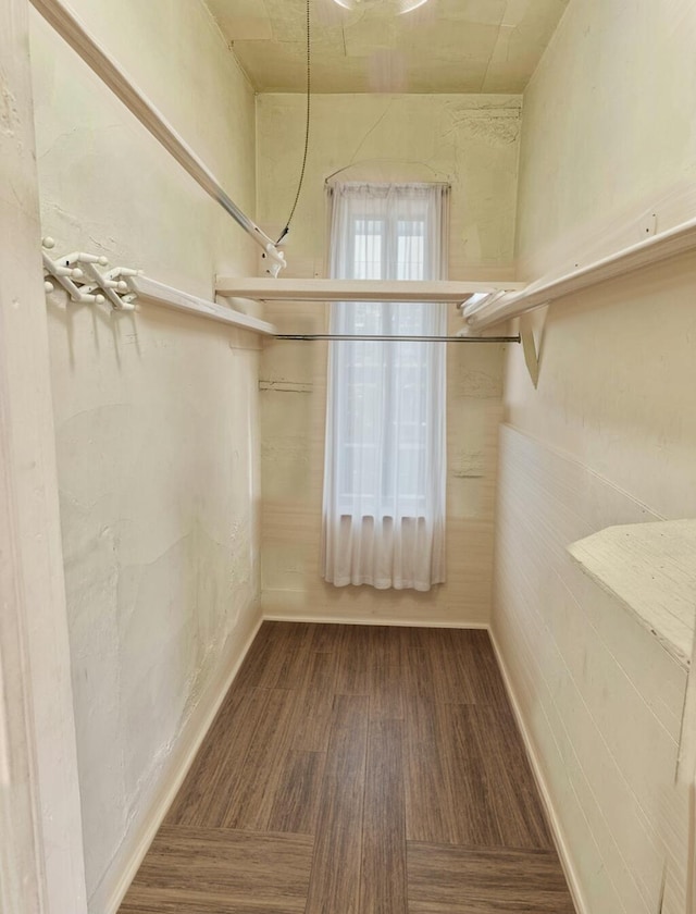 walk in closet featuring wood finished floors