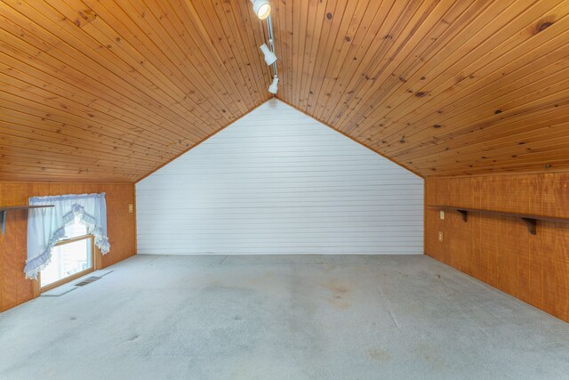 11811 Laird Rd, Brooklyn, MI 49230 - additional living space featuring carpet flooring, wood walls, lofted ceiling, and wood ceiling
