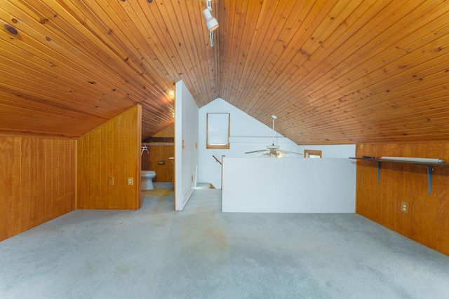 11811 Laird Rd, Brooklyn, MI 49230 - bonus room featuring wooden walls, lofted ceiling, carpet flooring, and wood ceiling