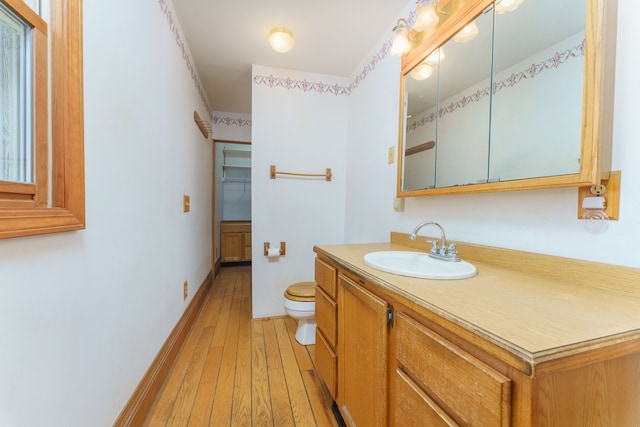 11811 Laird Rd, Brooklyn, MI 49230 - bathroom with vanity, toilet, hardwood / wood-style flooring, and baseboards