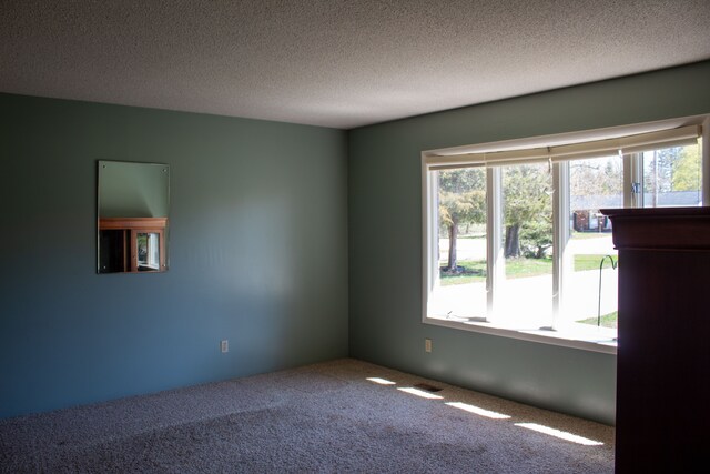carpeted empty room featuring a textured ceiling