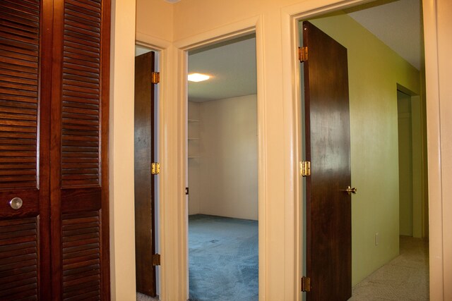 hallway with carpet