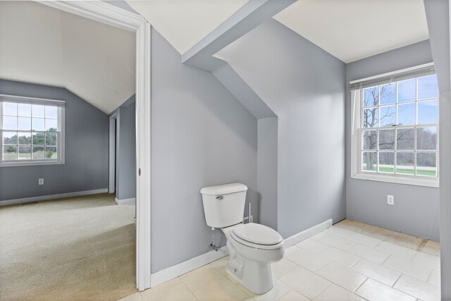 5580 Hegel Rd, Goodrich, MI 48438 - bathroom with lofted ceiling, baseboards, a healthy amount of sunlight, and toilet