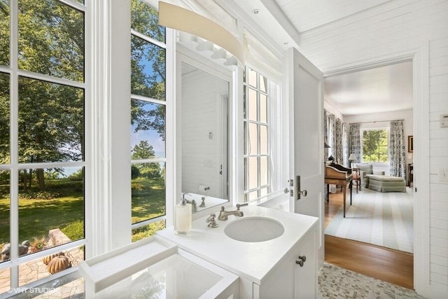 bathroom featuring wood finished floors and vanity
