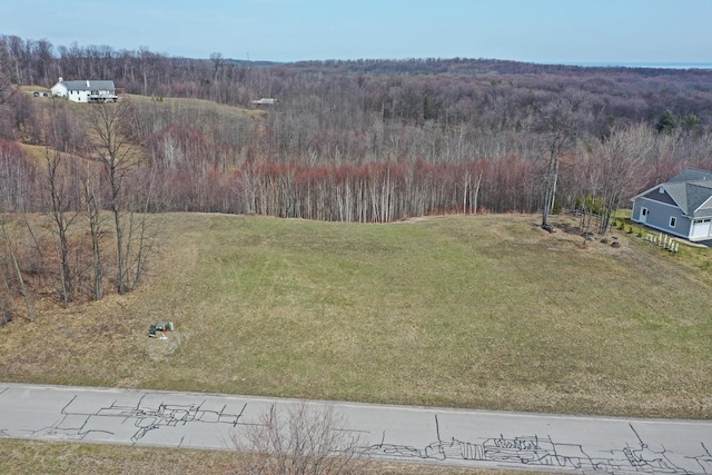 1912 N Blue Water Ct, Suttons Bay, MI 49682