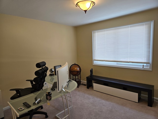interior space with baseboards, carpet floors, and plenty of natural light