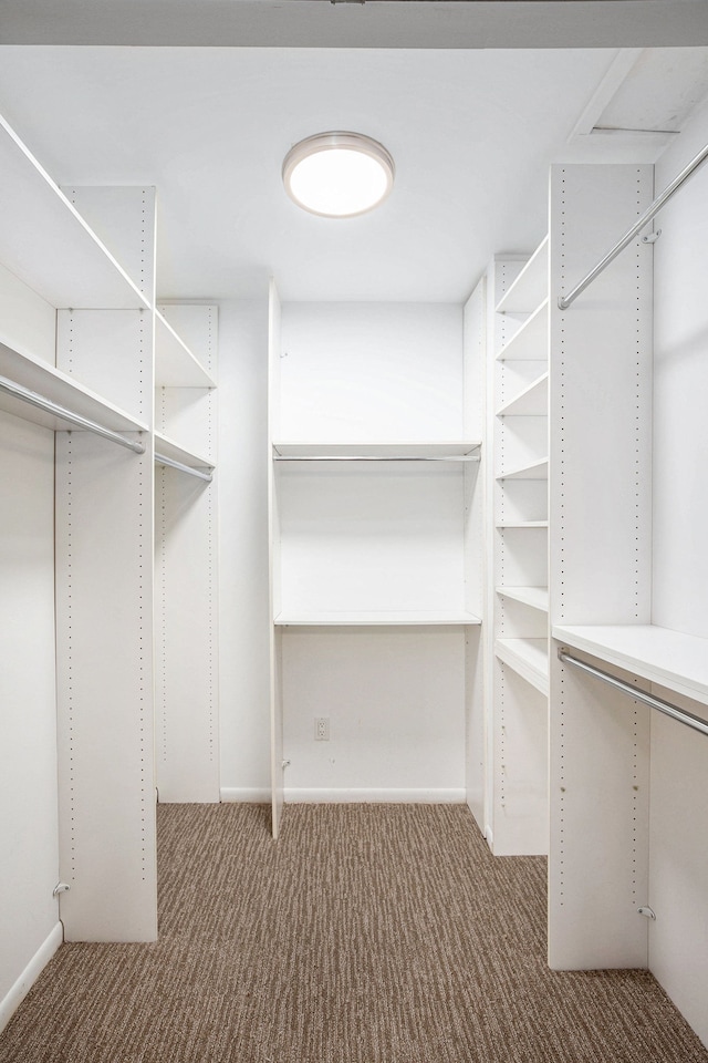spacious closet featuring carpet flooring