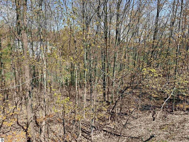 4863 Grayhawk Blvd, Traverse City, MI 49684 - photo 7