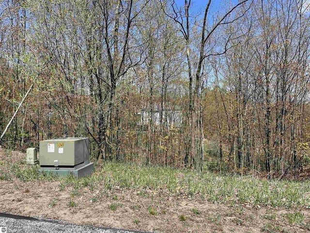 4863 Grayhawk Blvd, Traverse City, MI 49684 - photo 4
