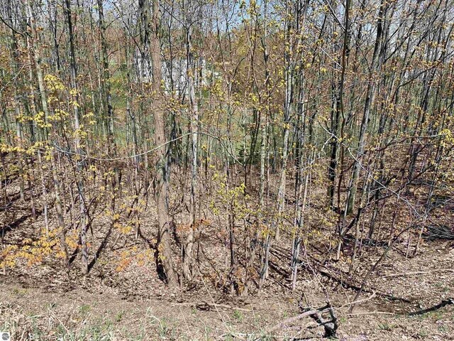 4863 Grayhawk Blvd, Traverse City, MI 49684 - photo 8