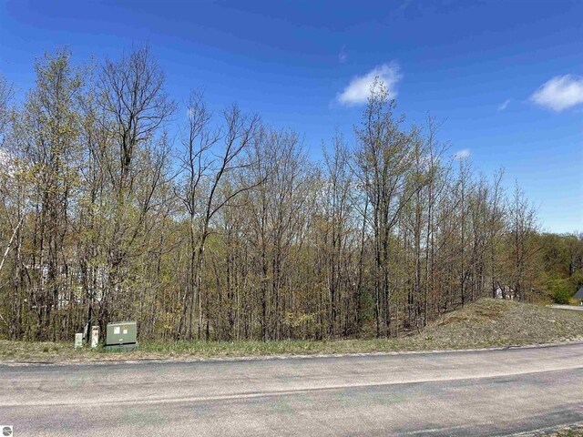4863 Grayhawk Blvd, Traverse City, MI 49684 - photo 9
