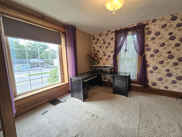 101 N Lewis St, Saline, MI 48176 - photo 21