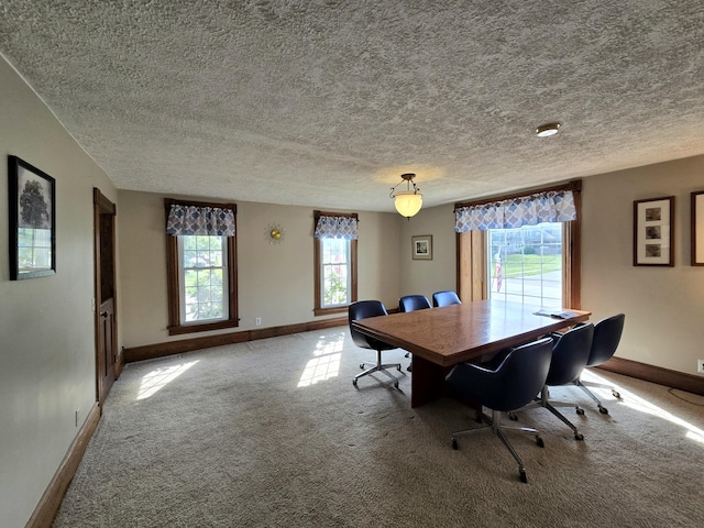 101 N Lewis St, Saline, MI 48176 - photo 16
