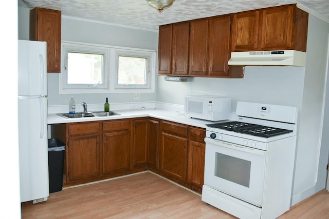 325 E Leroy St, Burlington, MI 49029 - kitchen with a sink, brown cabinetry, white appliances, light wood-style flooring, and under cabinet range hood