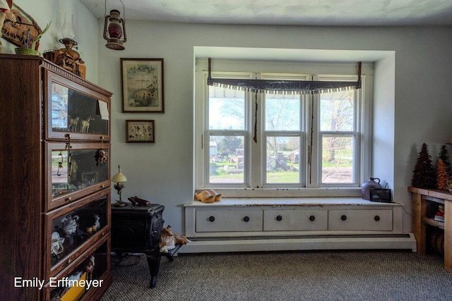 living area featuring carpet floors