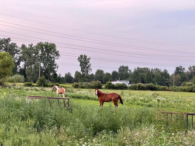 view of community with a rural view