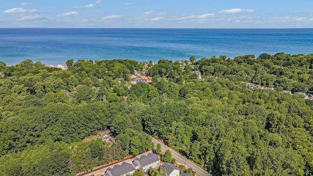 742 Ravine Ln, South Haven, MI 49090 - aerial view with a view of trees and a water view
