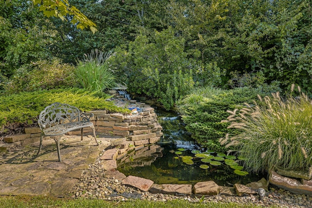 5788 M 63, Coloma, MI 49038 - view of yard with a garden pond
