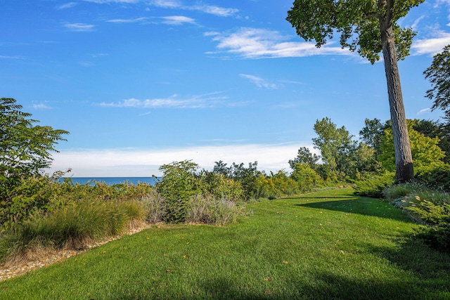 5788 M 63, Coloma, MI 49038 - view of yard with a water view