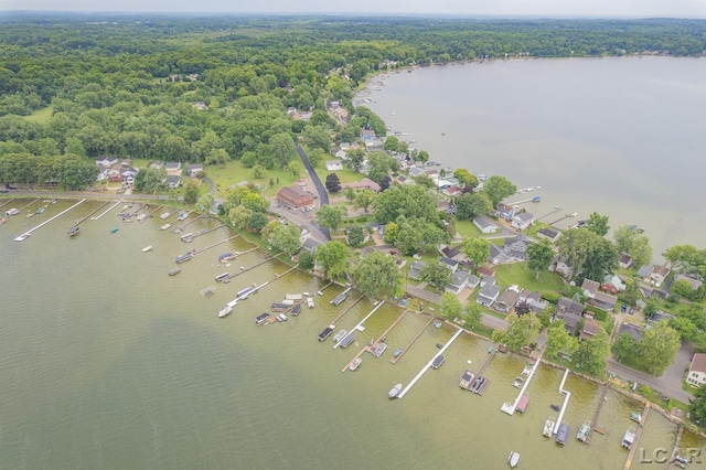 3145 Round Lake Hwy, Manitou Beach, MI 49253 - aerial overview of property's location featuring a forest and a nearby body of water