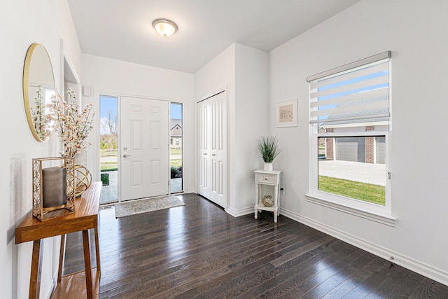 entrance foyer featuring a healthy amount of sunlight and dark wood finished floors