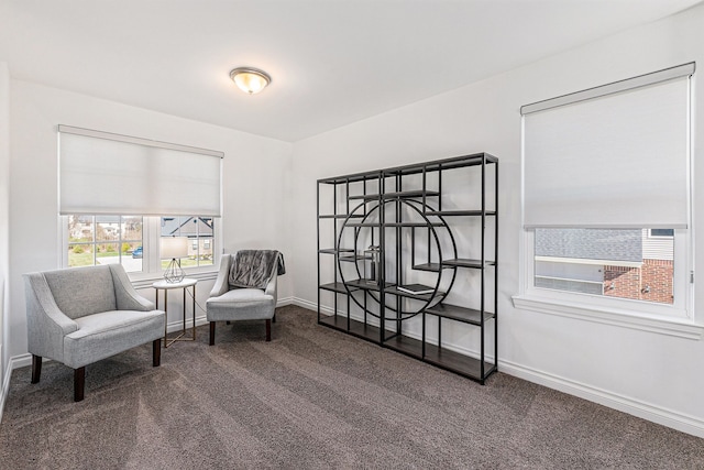 sitting room featuring baseboards, carpet flooring, and a wealth of natural light