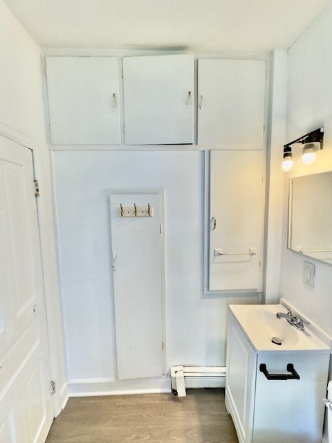 interior space with baseboards, wood finished floors, vanity, and baseboard heating