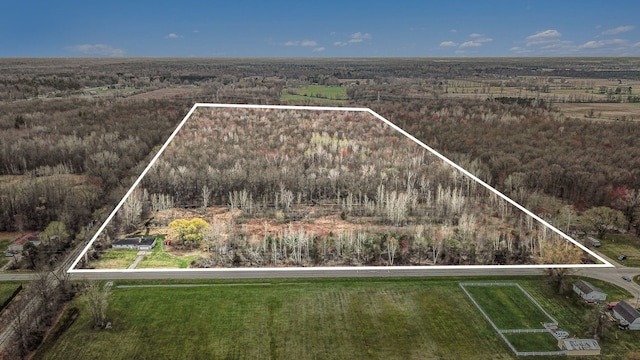 11179 Lake Rd, Montrose, MI 48457 - birds eye view of property with a wooded view