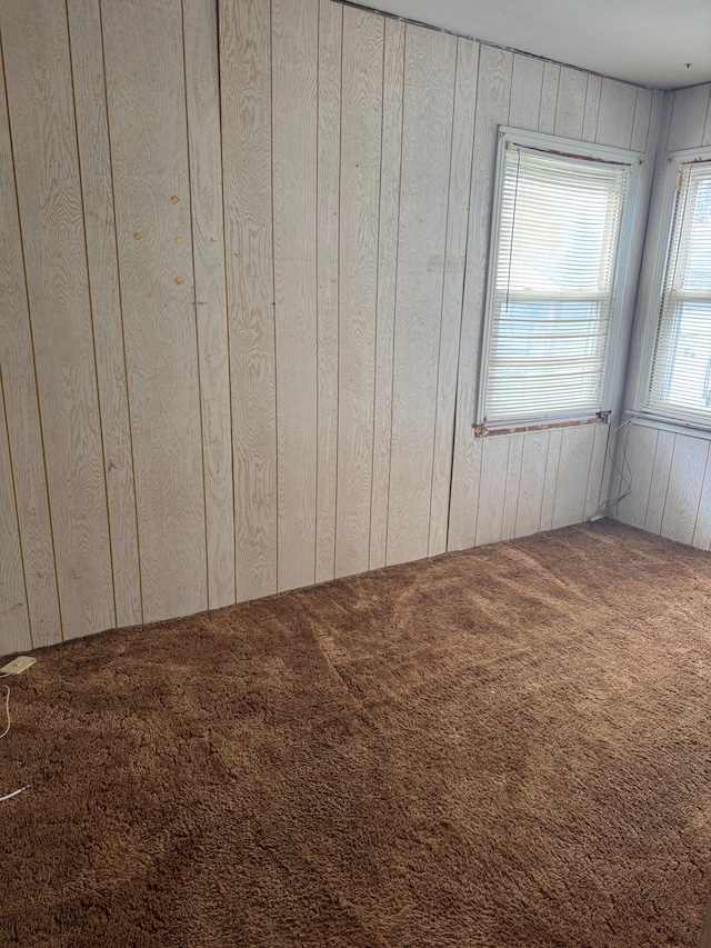 carpeted empty room featuring wood walls