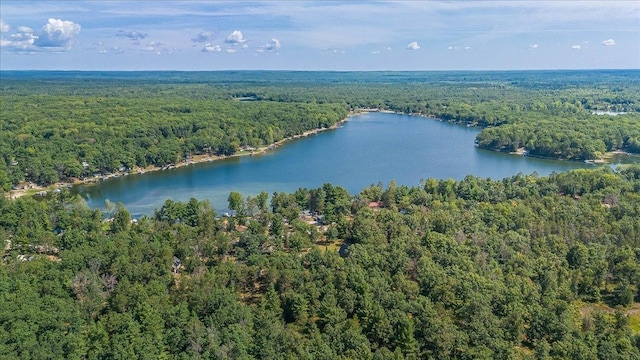 birds eye view of property featuring a water view and a view of trees