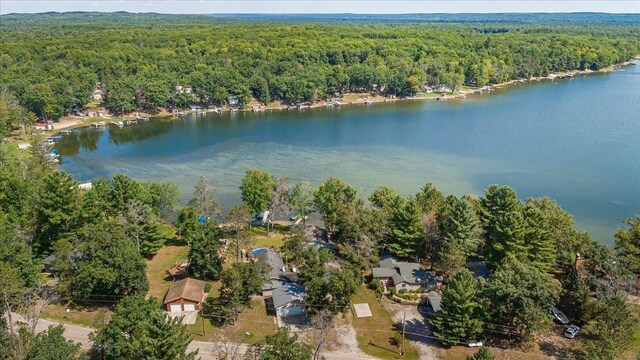 77681/2 Jose Lake Rd, South Branch, MI 48761