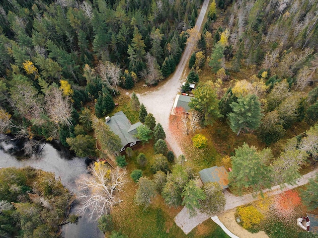 5589 Pershing Pl, Grayling, MI 49738