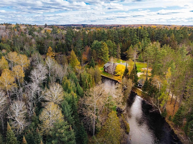 5589 Pershing Pl, Grayling, MI 49738