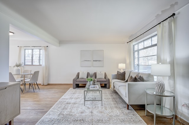living area featuring light wood finished floors