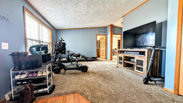 living room with vaulted ceiling, carpet, a textured ceiling, and ornamental molding