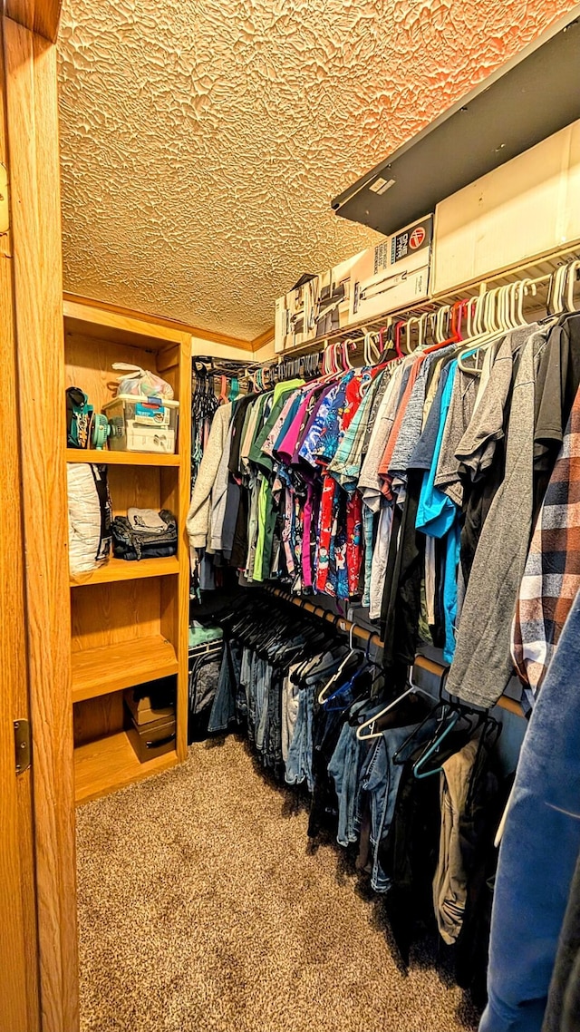 walk in closet featuring carpet flooring