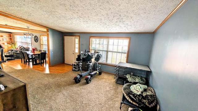 exercise room with crown molding, plenty of natural light, a textured ceiling, and carpet flooring