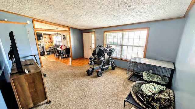 exercise area featuring lofted ceiling, crown molding, carpet flooring, and a textured ceiling
